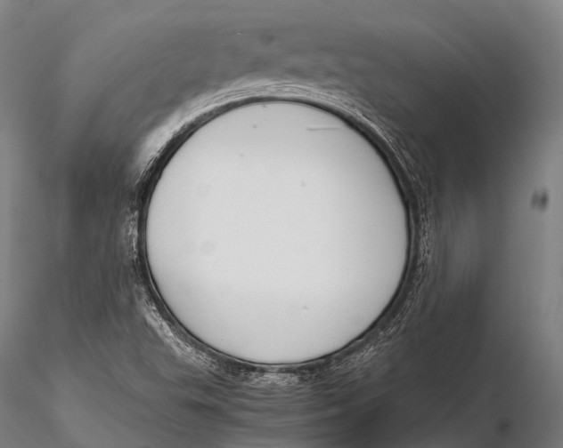 X0000115621503200912011602