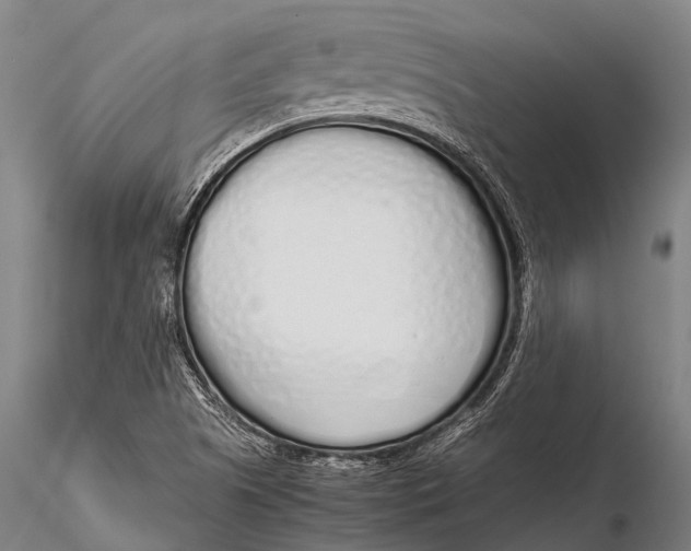 X0000115621505200912011602