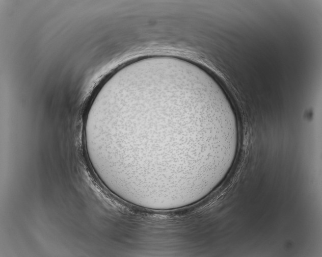 X0000115621507200912011602