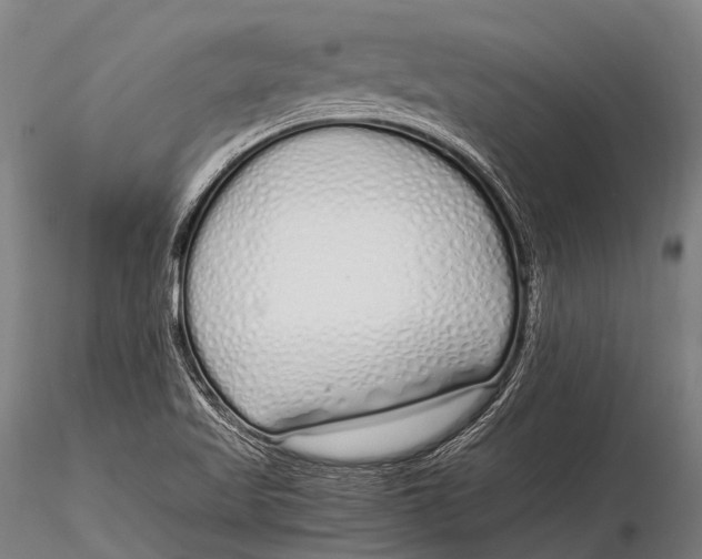 X0000115621509200912011602