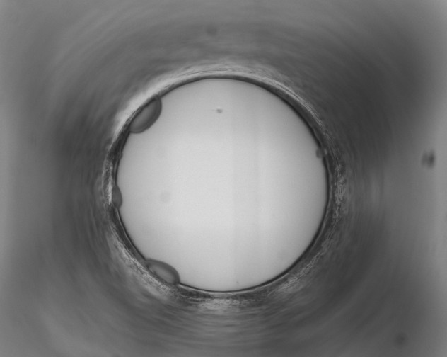 X0000115621510200912011602