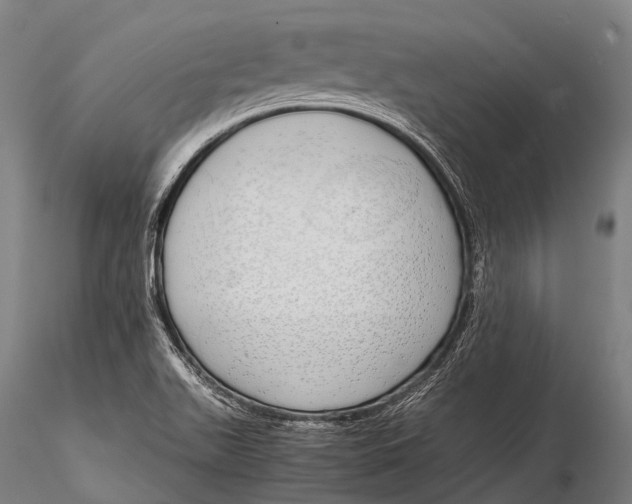 X0000115621511200912011602