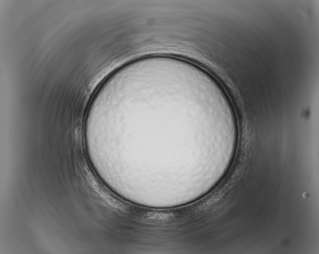 X0000115621513200912011602