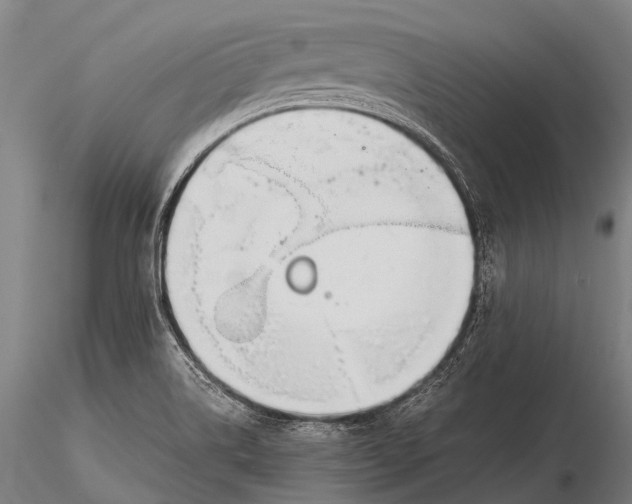 X0000115621514200912011602