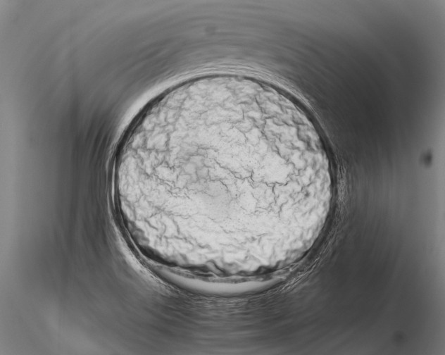 X0000115621515200912011602