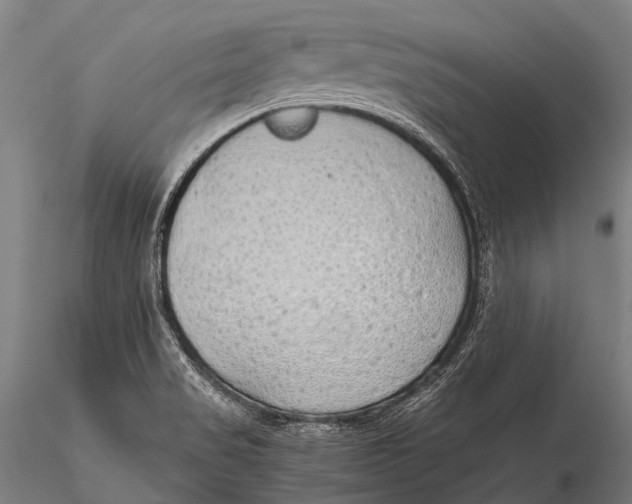 X0000115621517200912011603