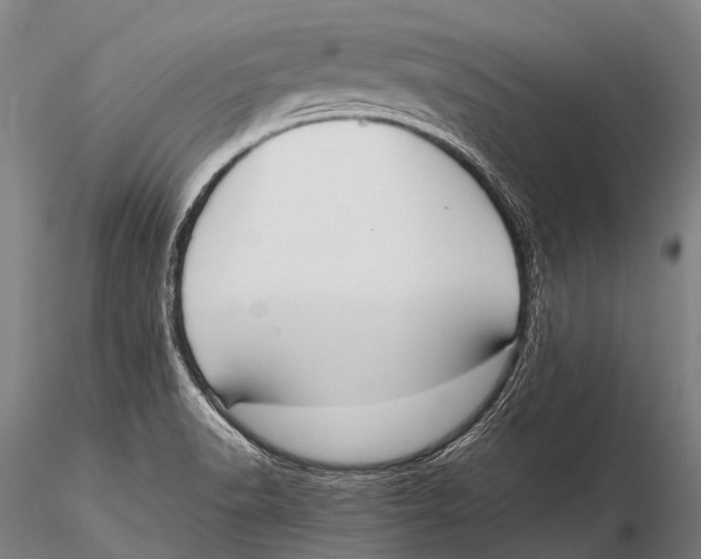 X0000115621518200912011603