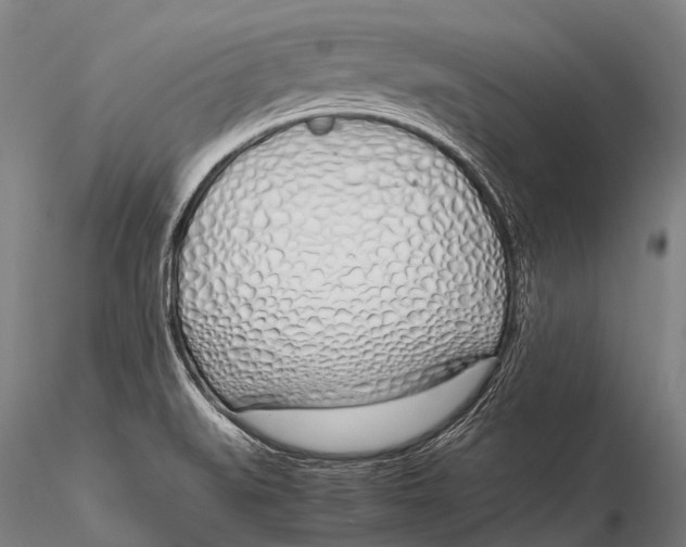 X0000115621519200912011603