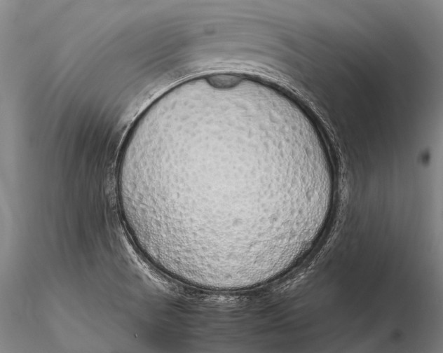 X0000115621521200912011603