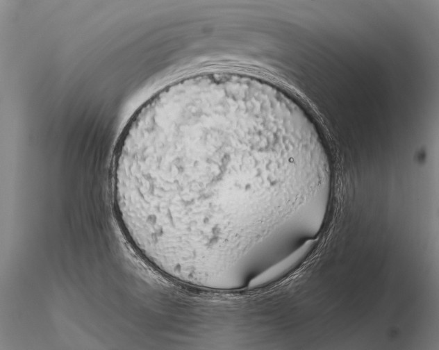 X0000115621522200912011603