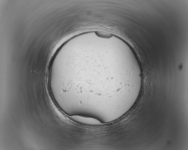 X0000115621523200912011603