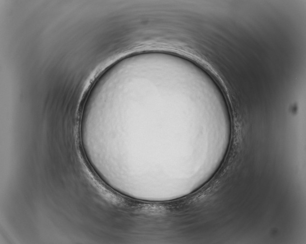 X0000115621525200912011603