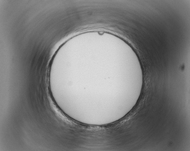 X0000115621526200912011603