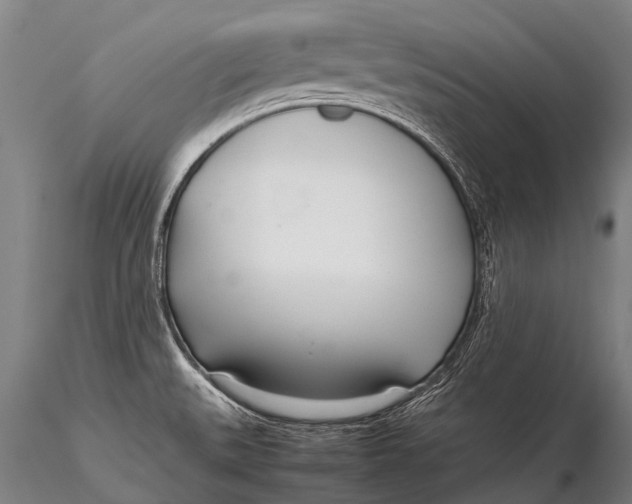 X0000115621527200912011603