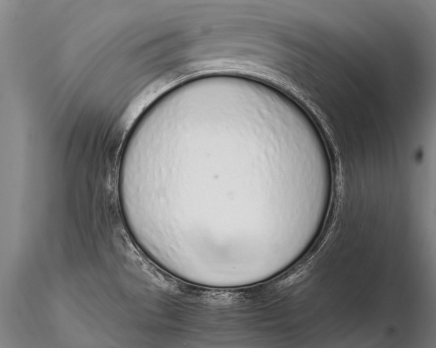 X0000115621529200912011603