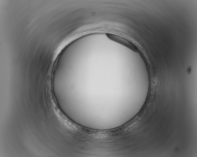 X0000115621530200912011603