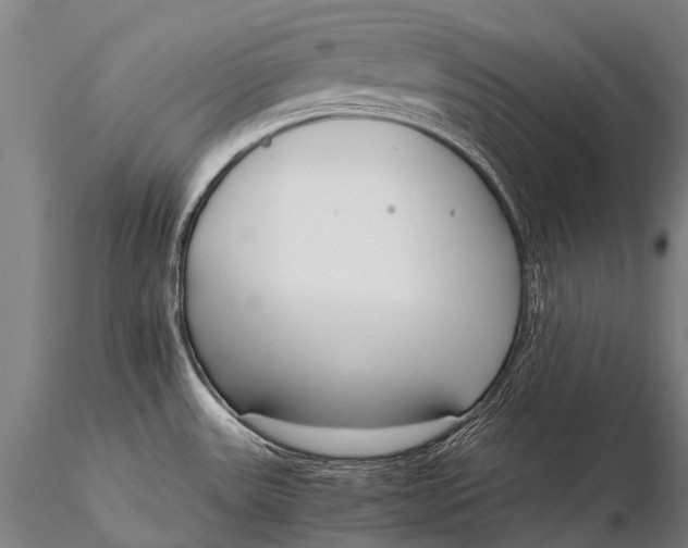 X0000115621531200912011603