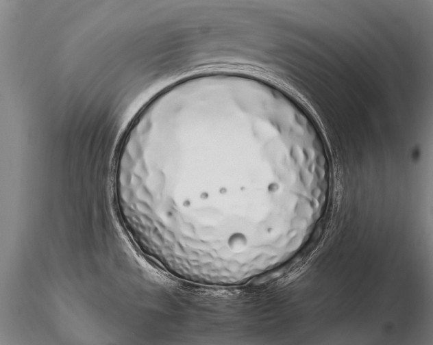 X0000115621533200912011603