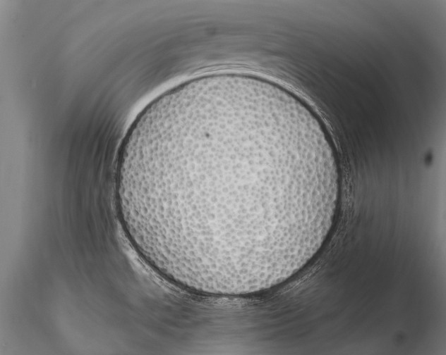 X0000115621534200912011603