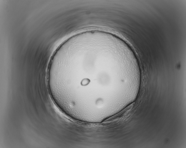 X0000115621535200912011603