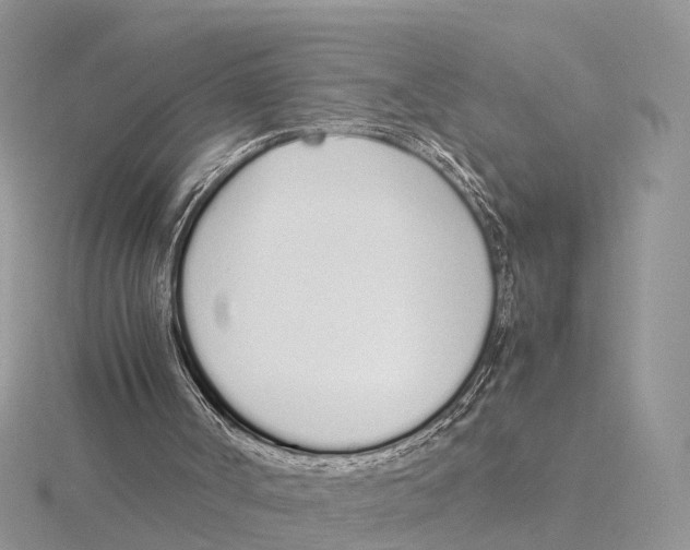 X0000115620002200912081032