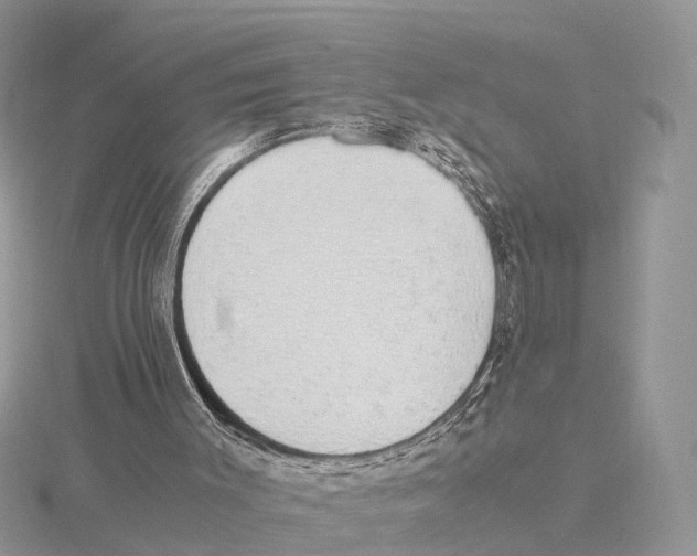 X0000115620003200912081032