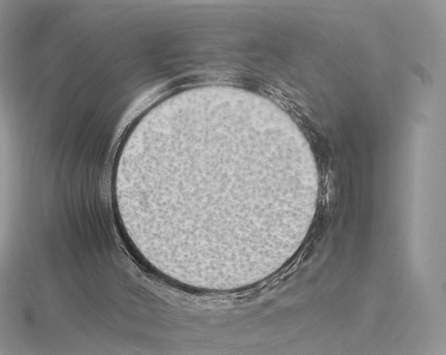 X0000115620004200912081032