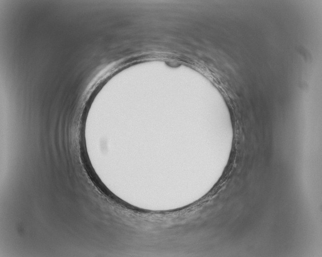 X0000115620007200912081032