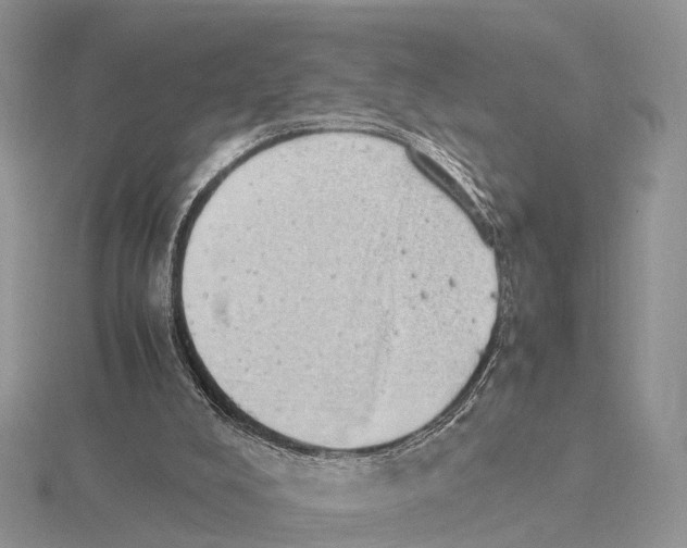 X0000115620008200912081032