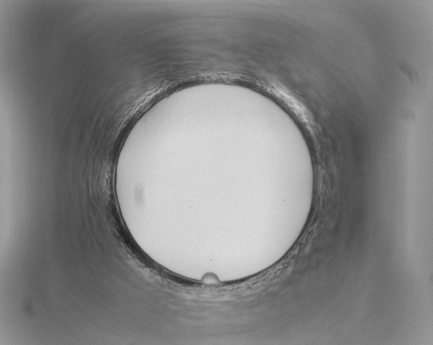 X0000115620009200912081032