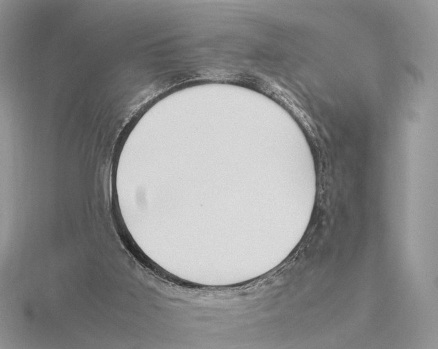 X0000115620011200912081032
