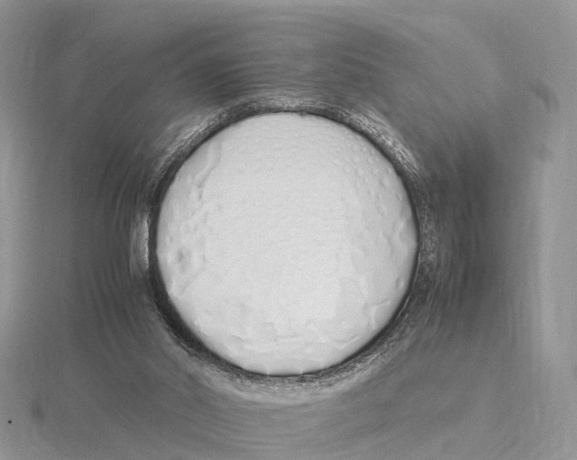 X0000115620014200912081032