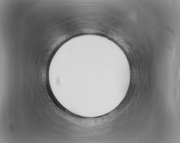 X0000115620015200912081032