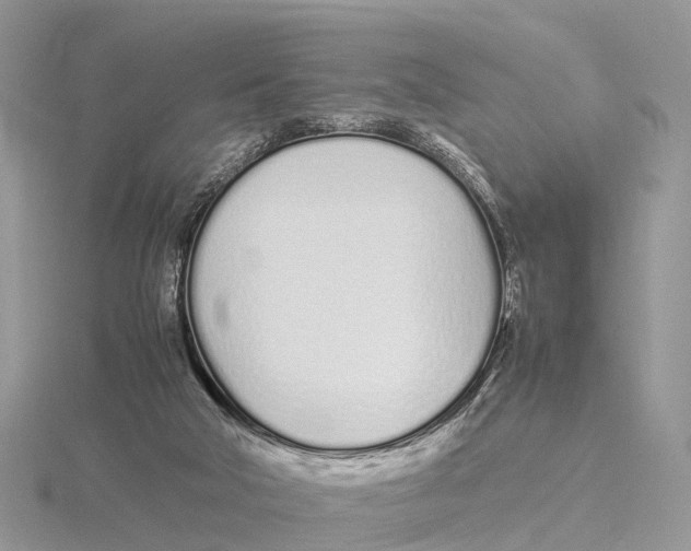 X0000115620018200912081032