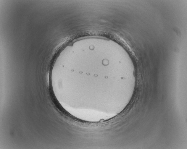 X0000115620019200912081032