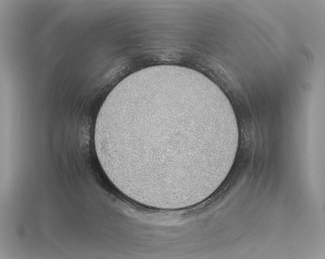 X0000115620032200912081032