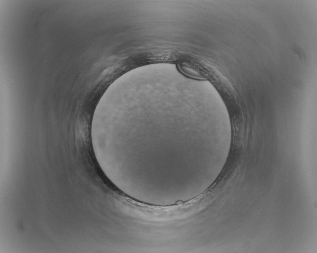 X0000115620035200912081032