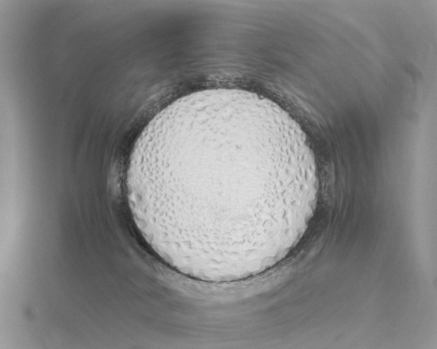 X0000115620038200912081032