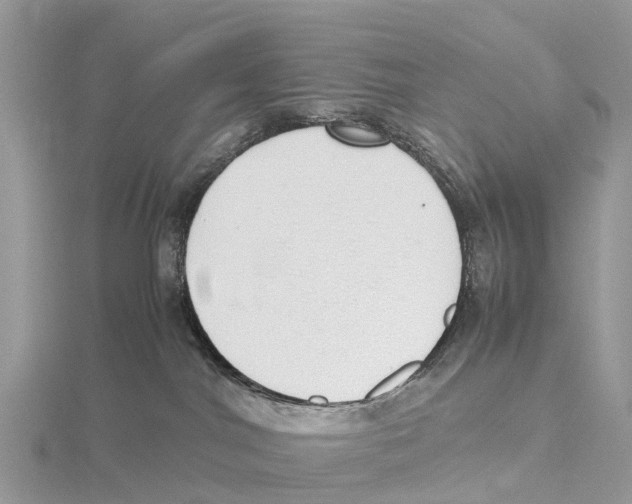 X0000115620044200912081032