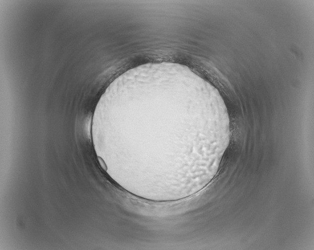 X0000115620047200912081032