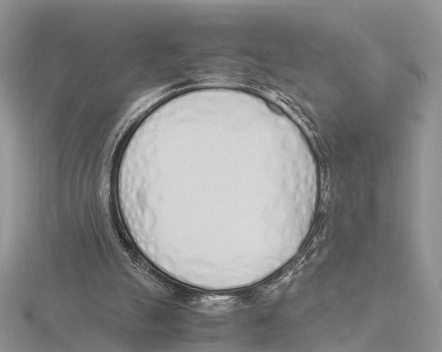 X0000115620055200912081031