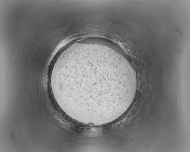 X0000115620056200912081031