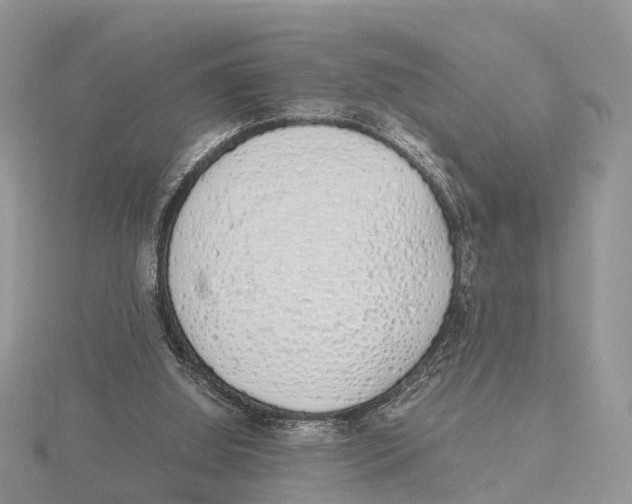 X0000115620060200912081031