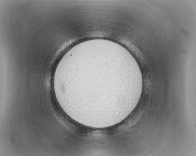 X0000115620064200912081031