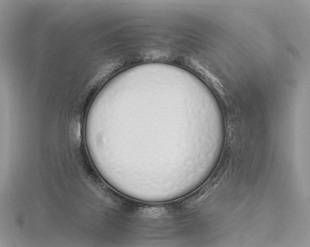 X0000115620067200912081031