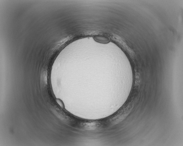 X0000115620068200912081031