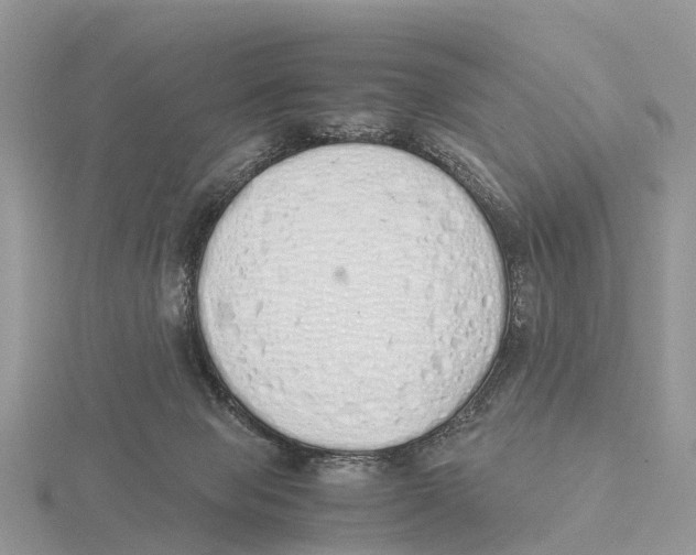 X0000115620077200912081031