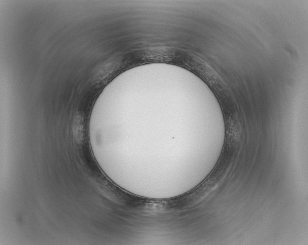 X0000115620080200912081032