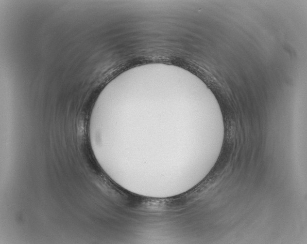 X0000115620084200912081032