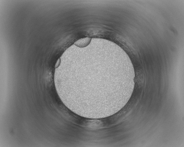 X0000115620087200912081032